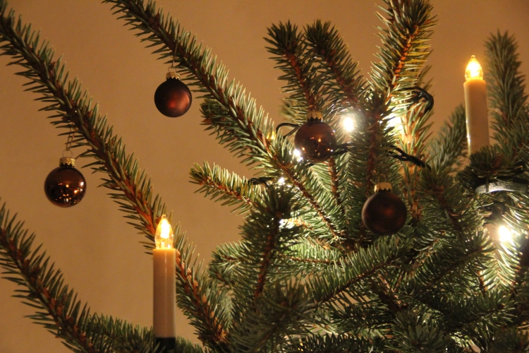 Weihnachtsgruss 2024 hp